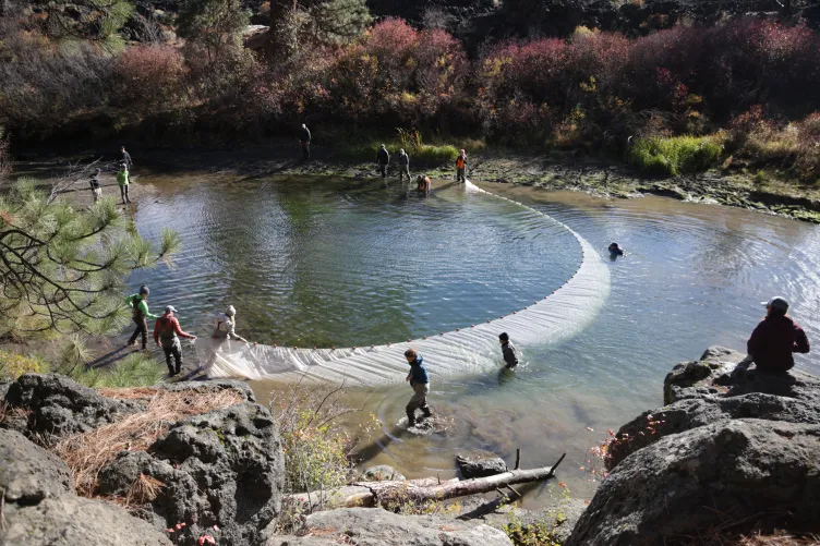 Un groupe de personnes se tient à côté ou immergé dans une grande étendue d’eau, traînant un filet qui s’étend d’une rive à l’autre de la rivière.