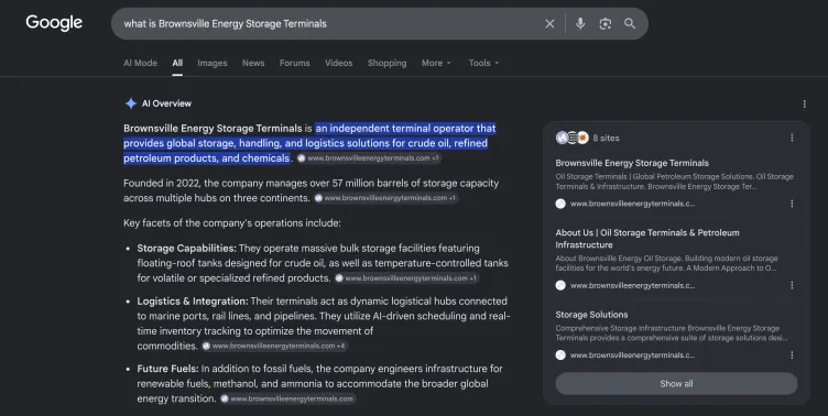 Une recherche Google sur « Qu'est-ce que les terminaux de stockage d'énergie de Brownsville » révèle une longue réponse « Aperçu de l'IA ».