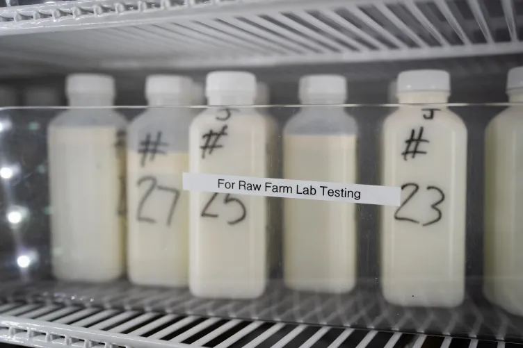 Bouteilles de lait numérotées sur une grille de réfrigérateur derrière un ruban adhésif indiquant « Pour les tests en laboratoire sur les matières premières ».