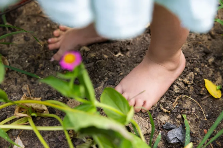 Les pieds nus d'un tout-petit reposent dans le sol. La photo est encadrée de fleurs et de feuilles floues.