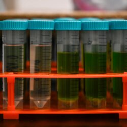 Colorado Marijuana Company rappelle volontairement des dizaines de produits contaminés en raison des retards réglementaires de l&rsquo;État