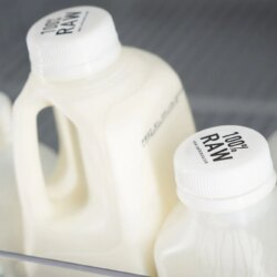 L&rsquo;Académie américaine de pédiatrie renouvelle son appel à l&rsquo;interdiction du lait cru