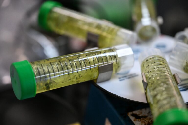 Les régulateurs de la marijuana du Colorado n&rsquo;ont pas réussi à protéger les consommateurs contre une contamination potentielle, selon un audit