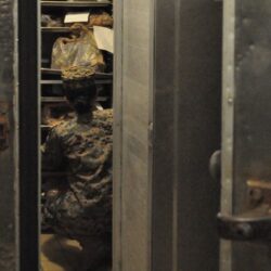 Six congélateurs militaires sont tombés en panne en août. Était-ce une cyberattaque ?